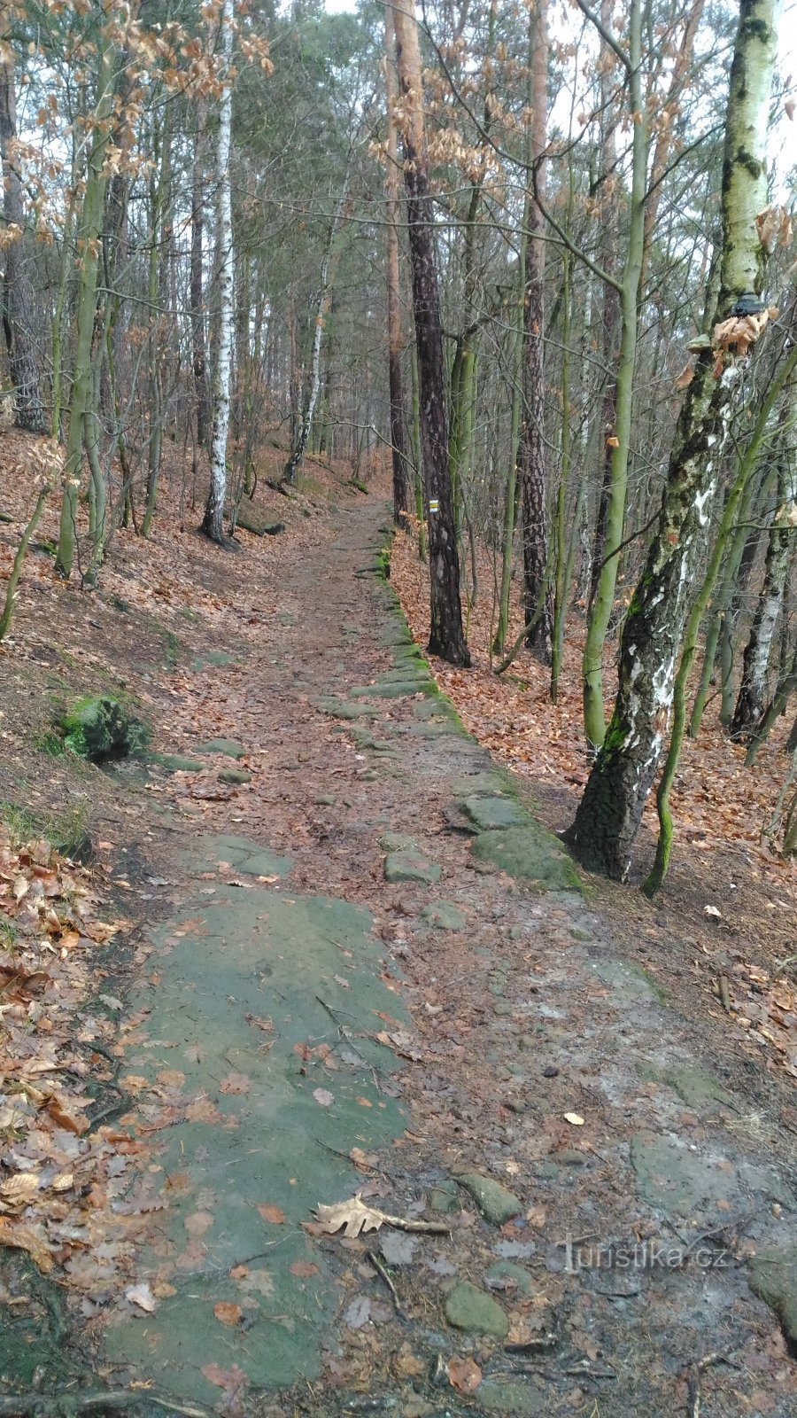 pot do razgledne točke