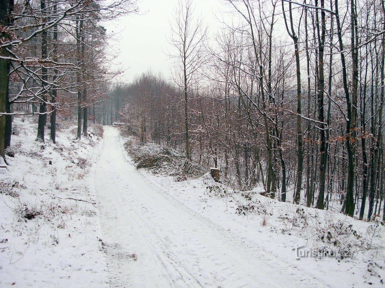 Cesta nad Koryčany, Velká Ostrá (Zelezňák) v ozadju