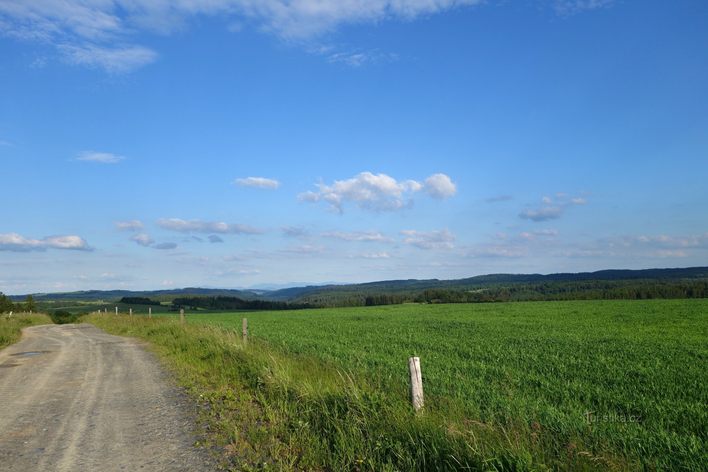 Cesta nad Podlesí