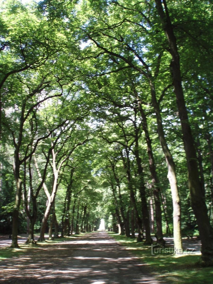 the path through the field to the summer house