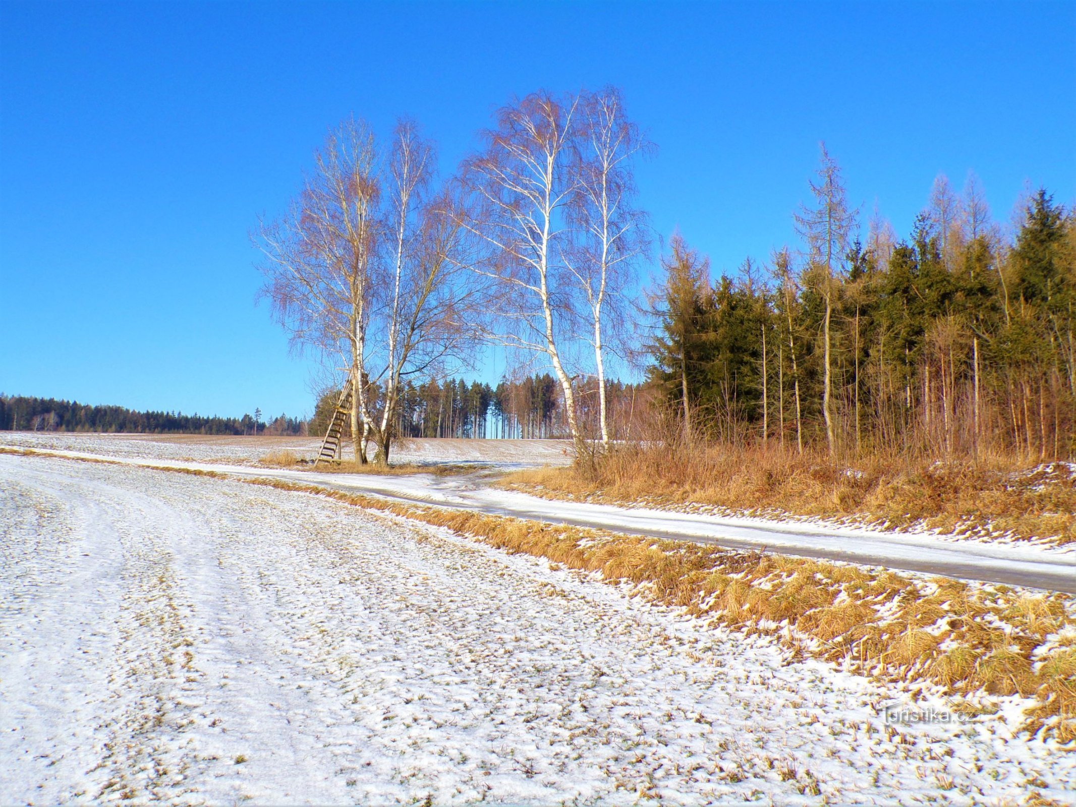 The road from Brzezice cemetery to Bělun (January 18.1.2022, XNUMX)