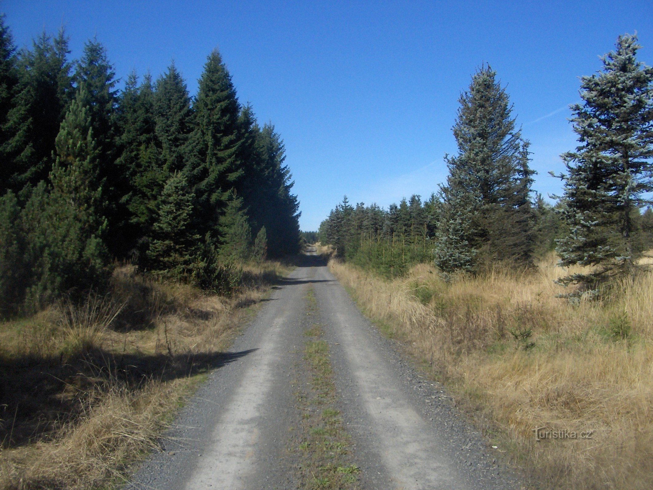 route de Černý rybník