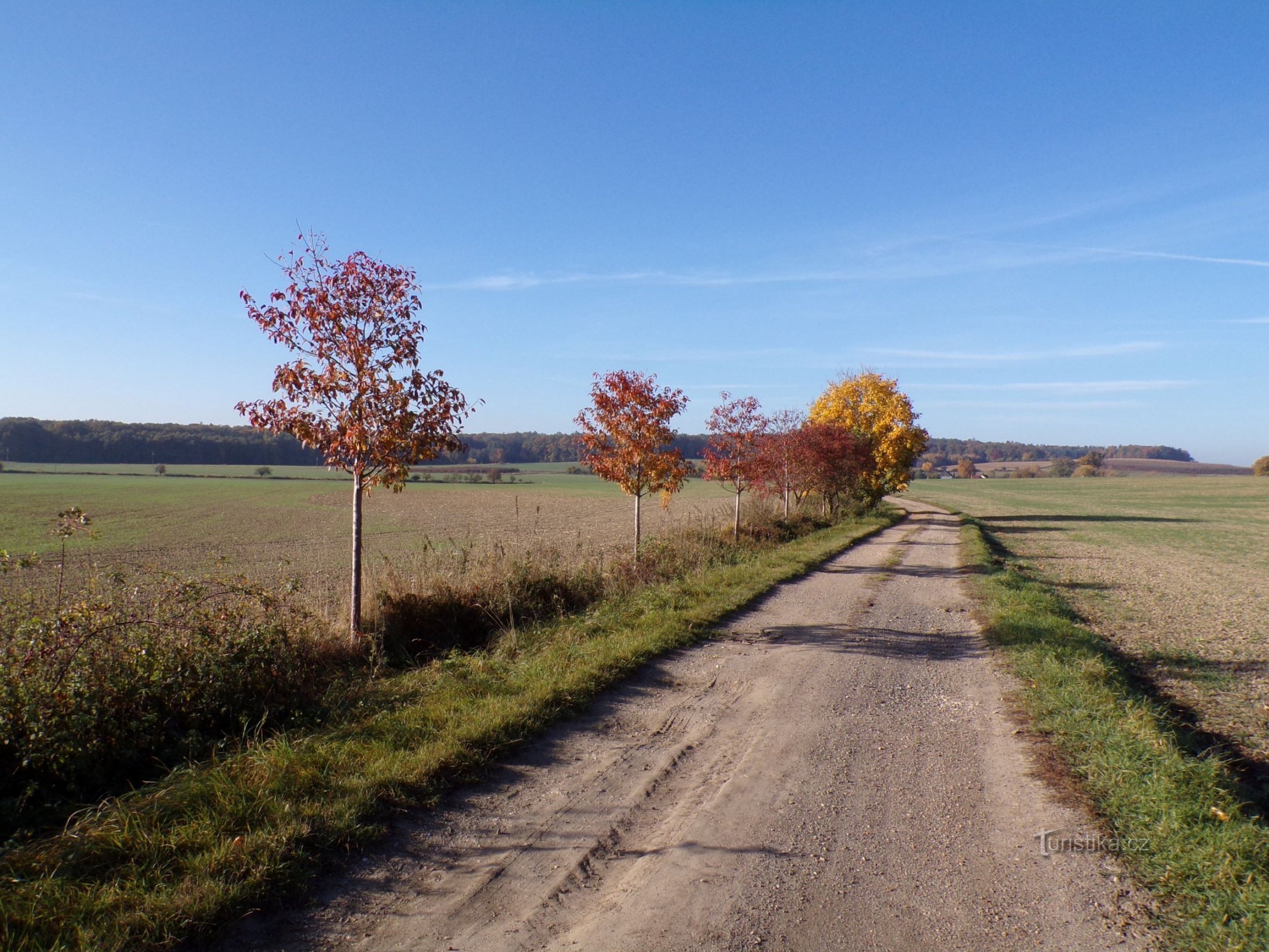 Straße von Horní Přím nach Jehlica (24.10.2021)