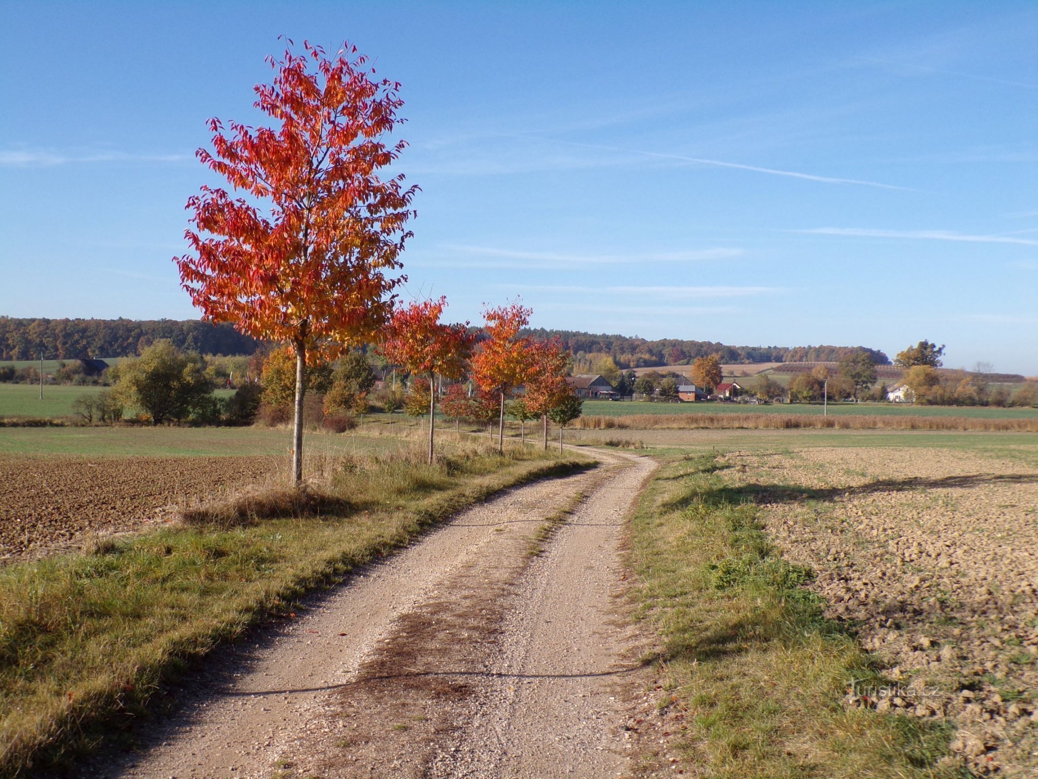 Straße von Horní Přím nach Jehlica (24.10.2021)