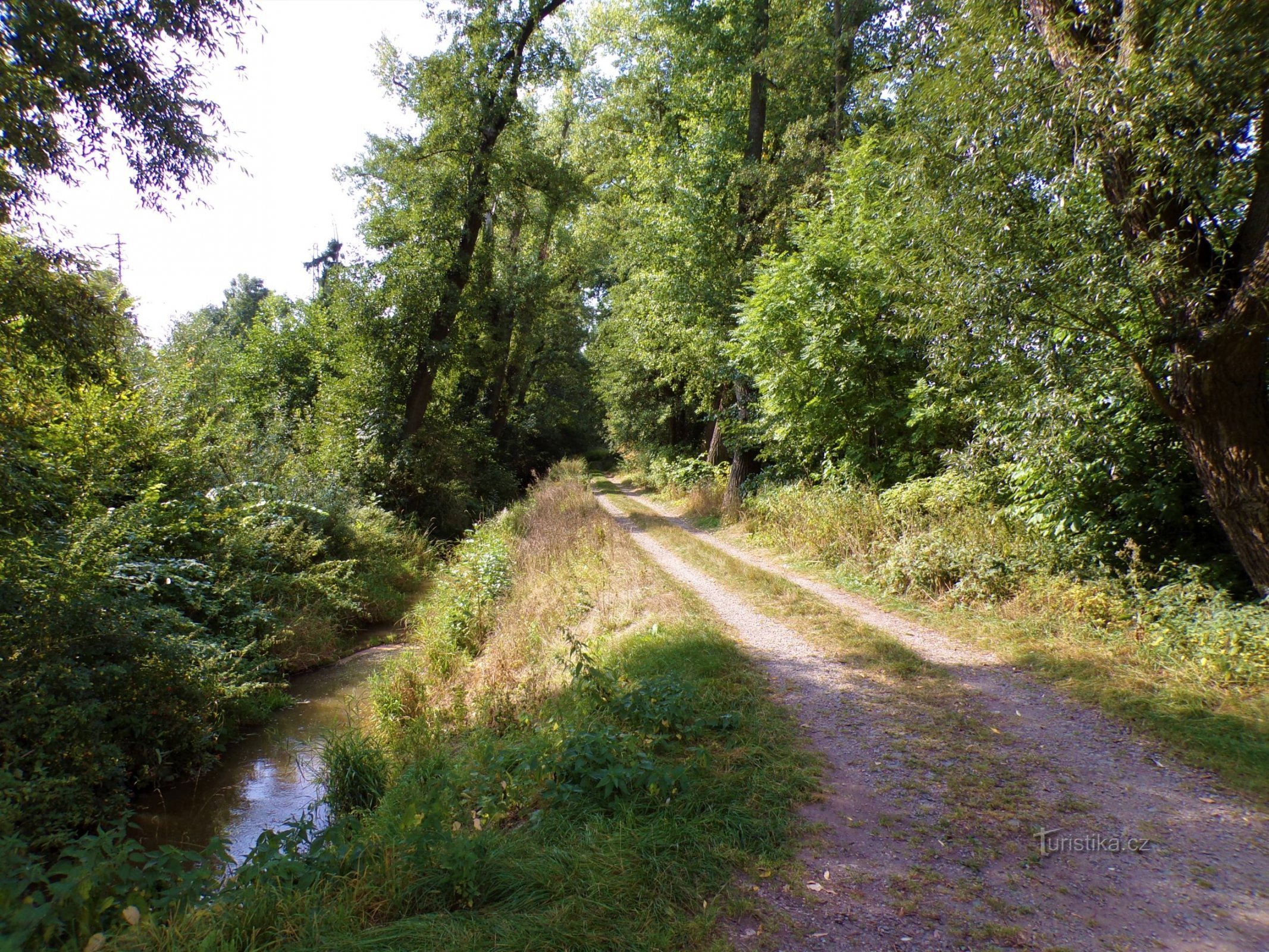 Droga z Jaroměřský rybník (Jaroměř, 14.9.2021)
