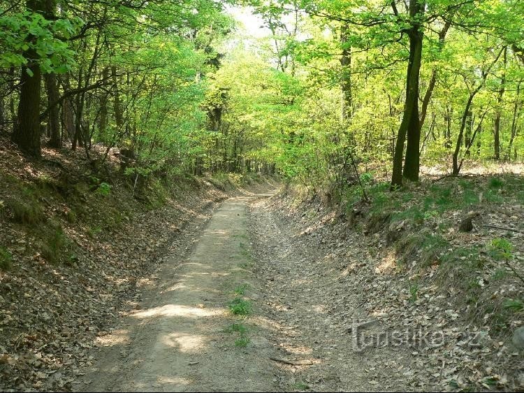 Le chemin du Calvaire à la chapelle et à Kamýk