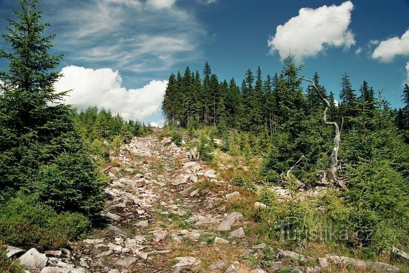 vejen fra Kazatelen til Černá Opava-dalen