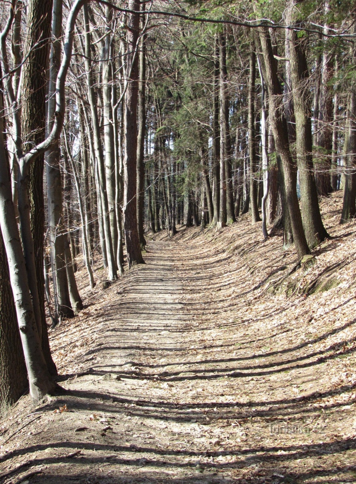 estrada de Komonc