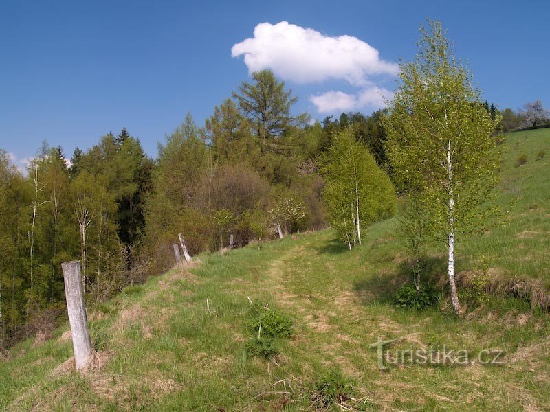 the path from the church in Staré Svojanov to the castle