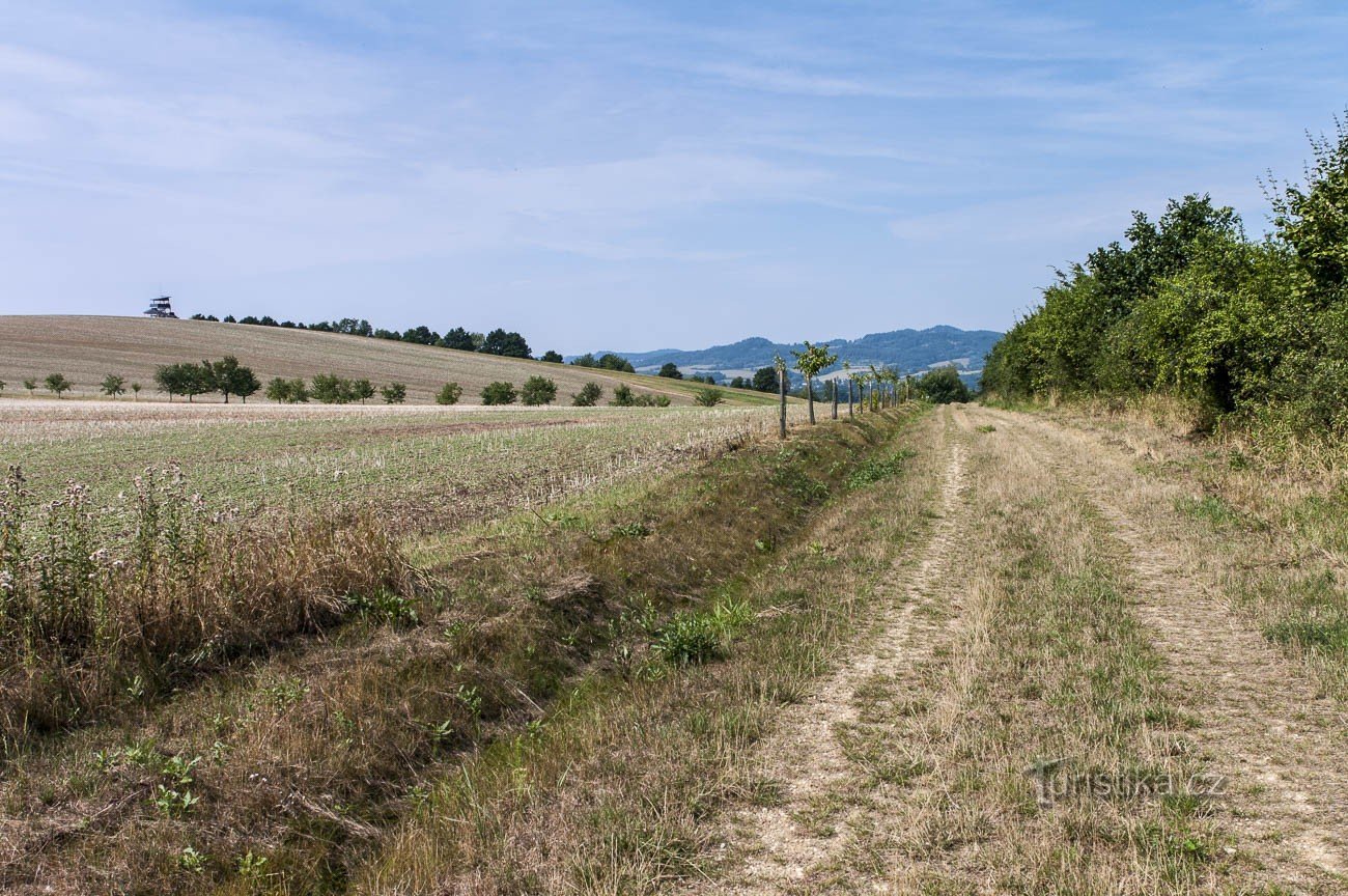 The road from Příčná