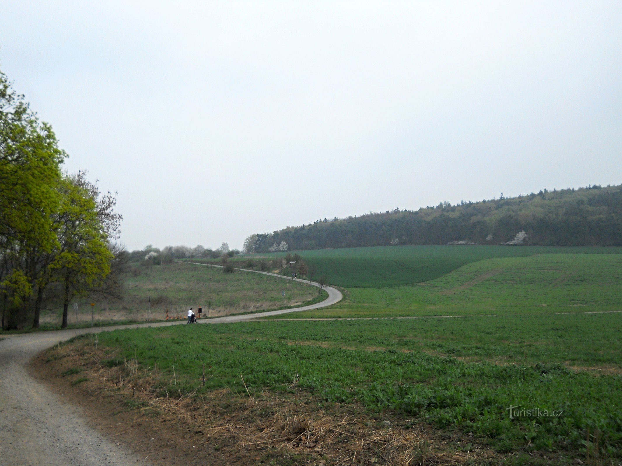 Die Straße von der Gabelung U trati. An der Abzweigung nach Chlum ist der Rastplatz zu sehen