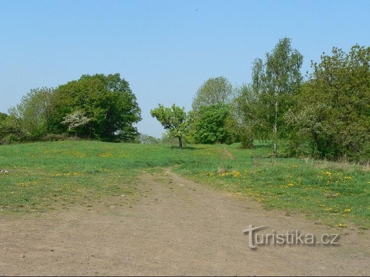 De weg vanaf de wegwijzer naar Střekov