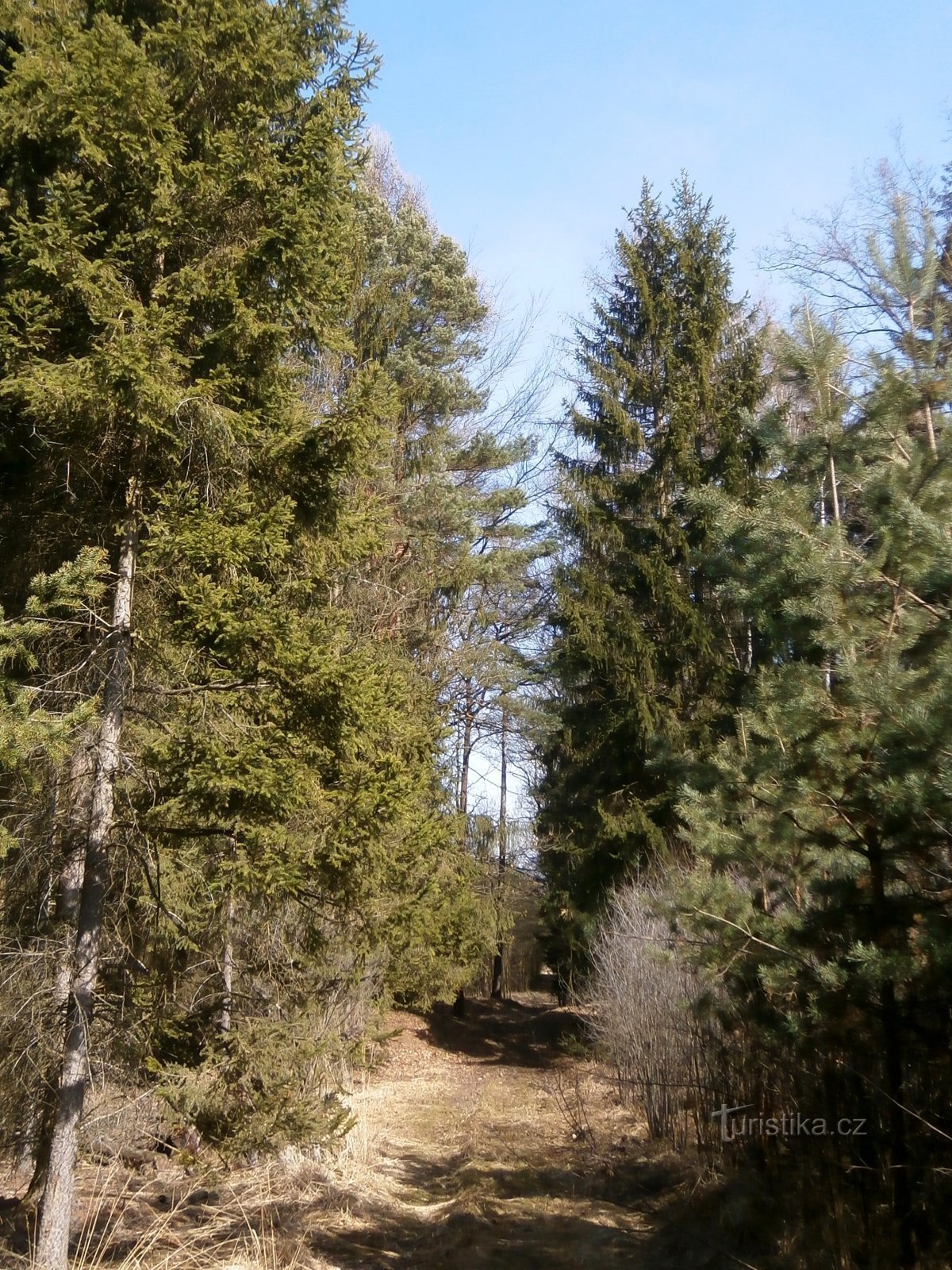 Path through Ouliště to the Librantické stream (Bukovina)