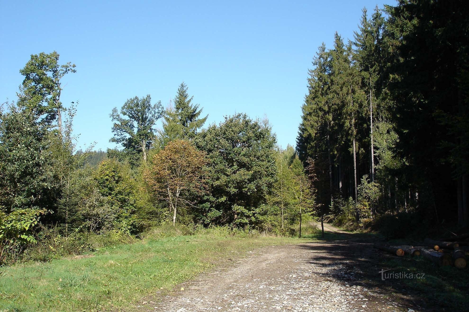 La strada verso il rosso