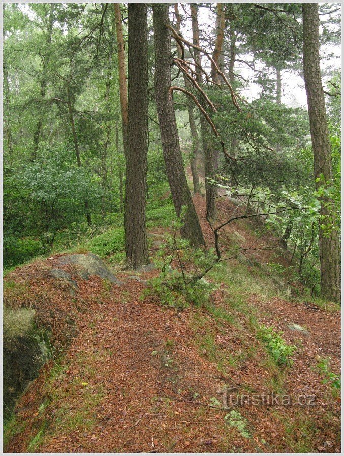 Chemin le long de la crête du carrefour à Koberovy (panneau bleu)