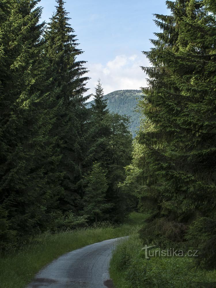 La route sous Červená hora