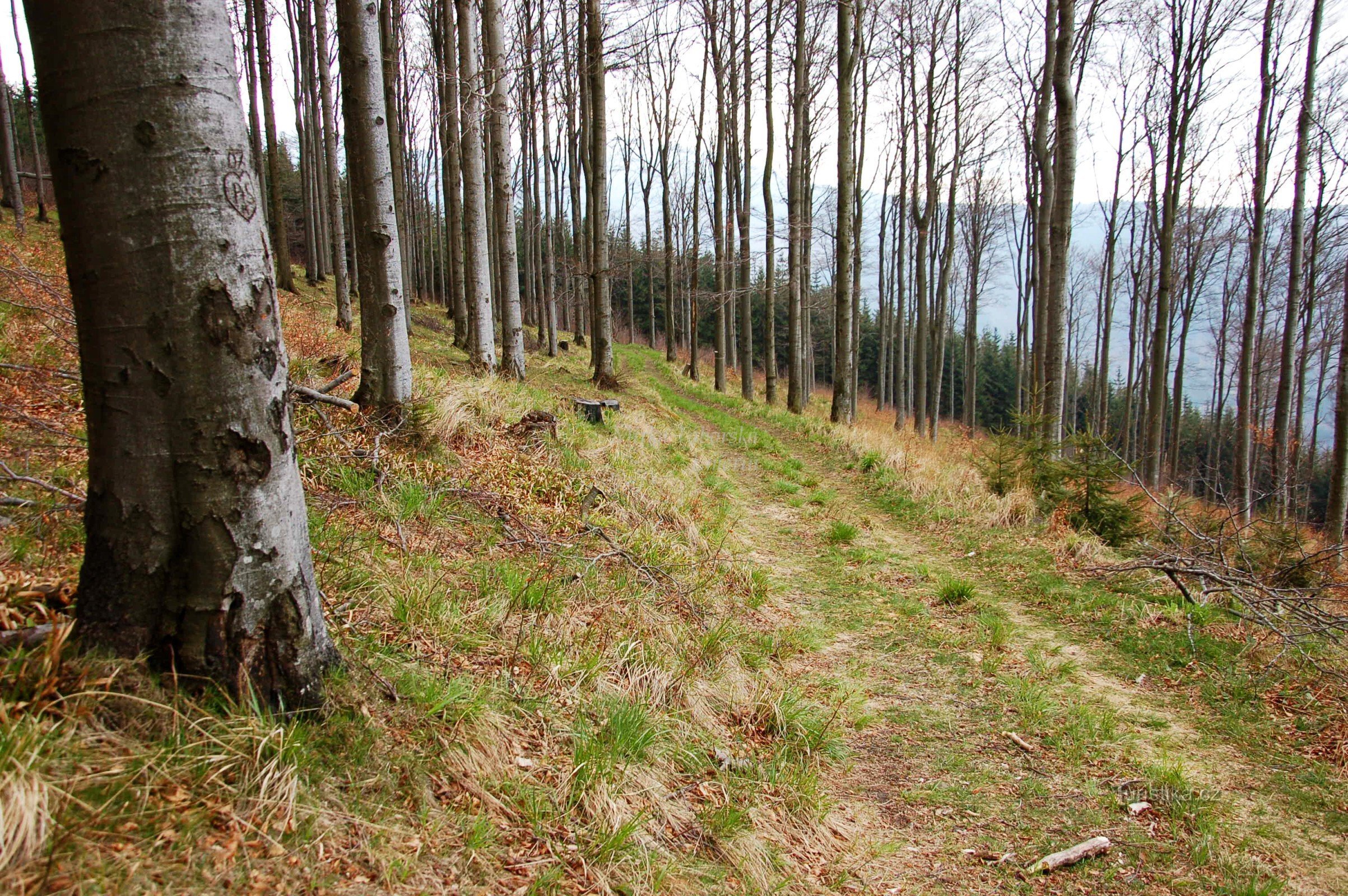 caminho sob o pico de Velké Stolová (4/2014)