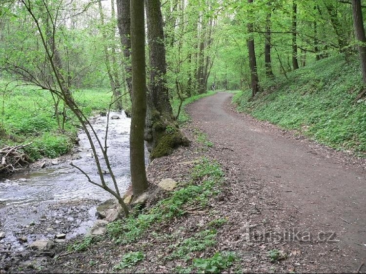 Chemin le long du ruisseau