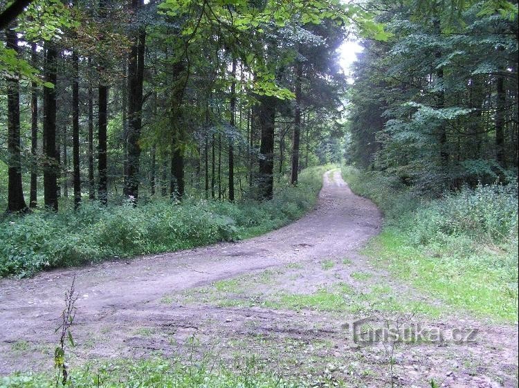 Chemin: Vue du chemin vers Životice, plus loin Bludovice