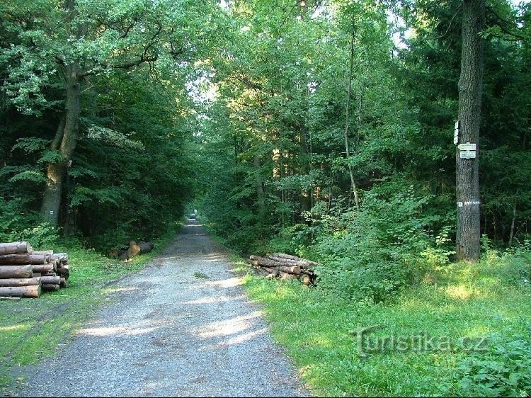 Route : Vue depuis le poteau indicateur sur la route vers Vendryna