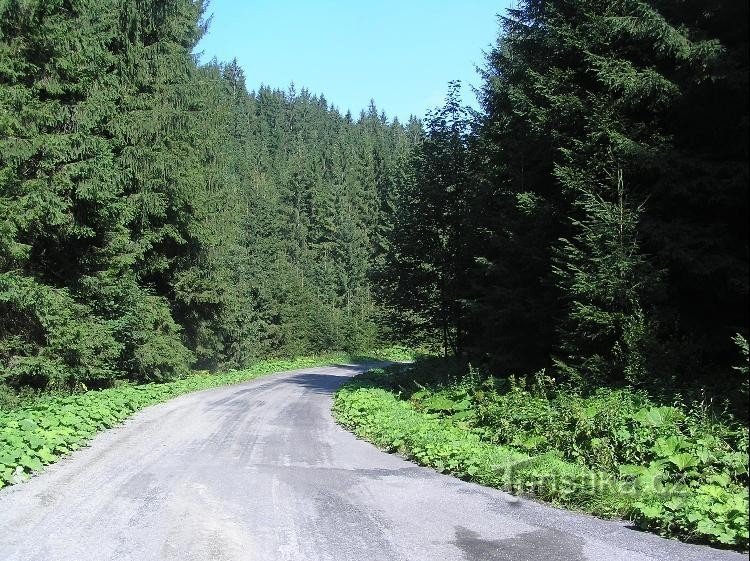 Chemin : Vue depuis le panneau sur le chemin vers la source Smradlava