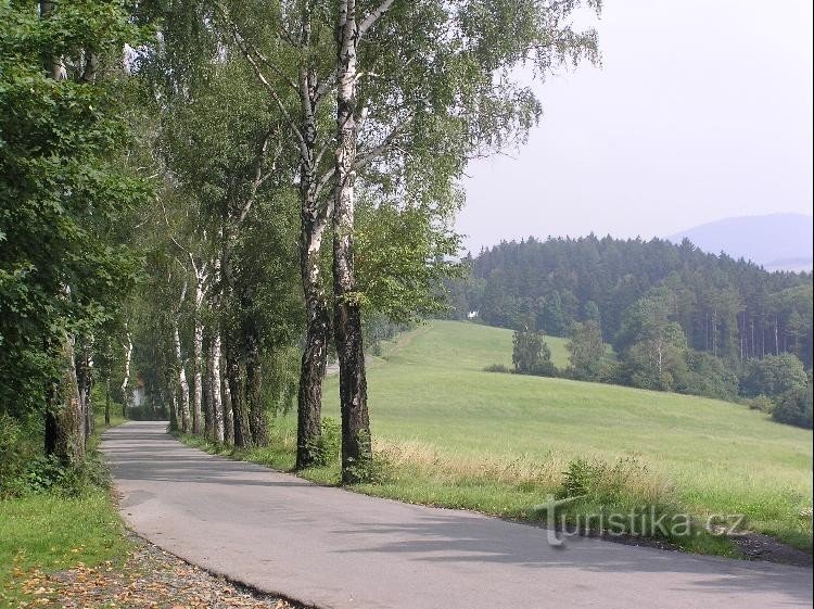 Cesta: Pogled s smerokaza na cesti proti Nový Jičín