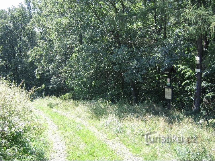 Route: Uitzicht vanaf de wegwijzer richting Dobešov