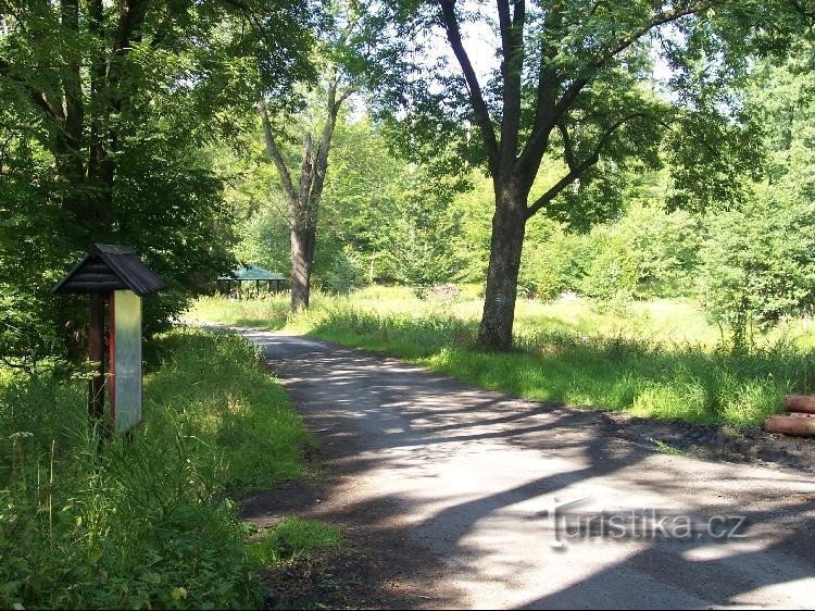 Route: Blick vom Wegweiser Richtung Hradec nad Moravicí