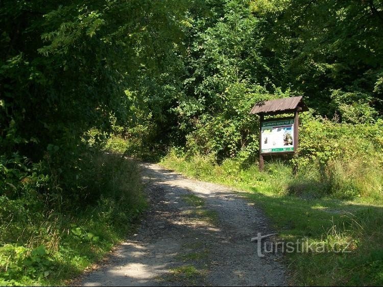 Weg: Blick vom Wegweiser zum Waldweg nach Trojačka