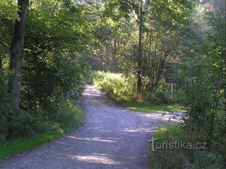 Weg: Blick vom Wegweiser in Richtung Spálovský mlýn