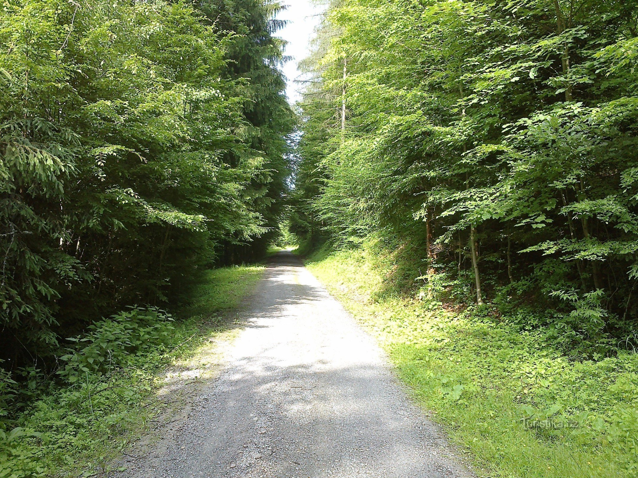 Der Weg steigt allmählich an