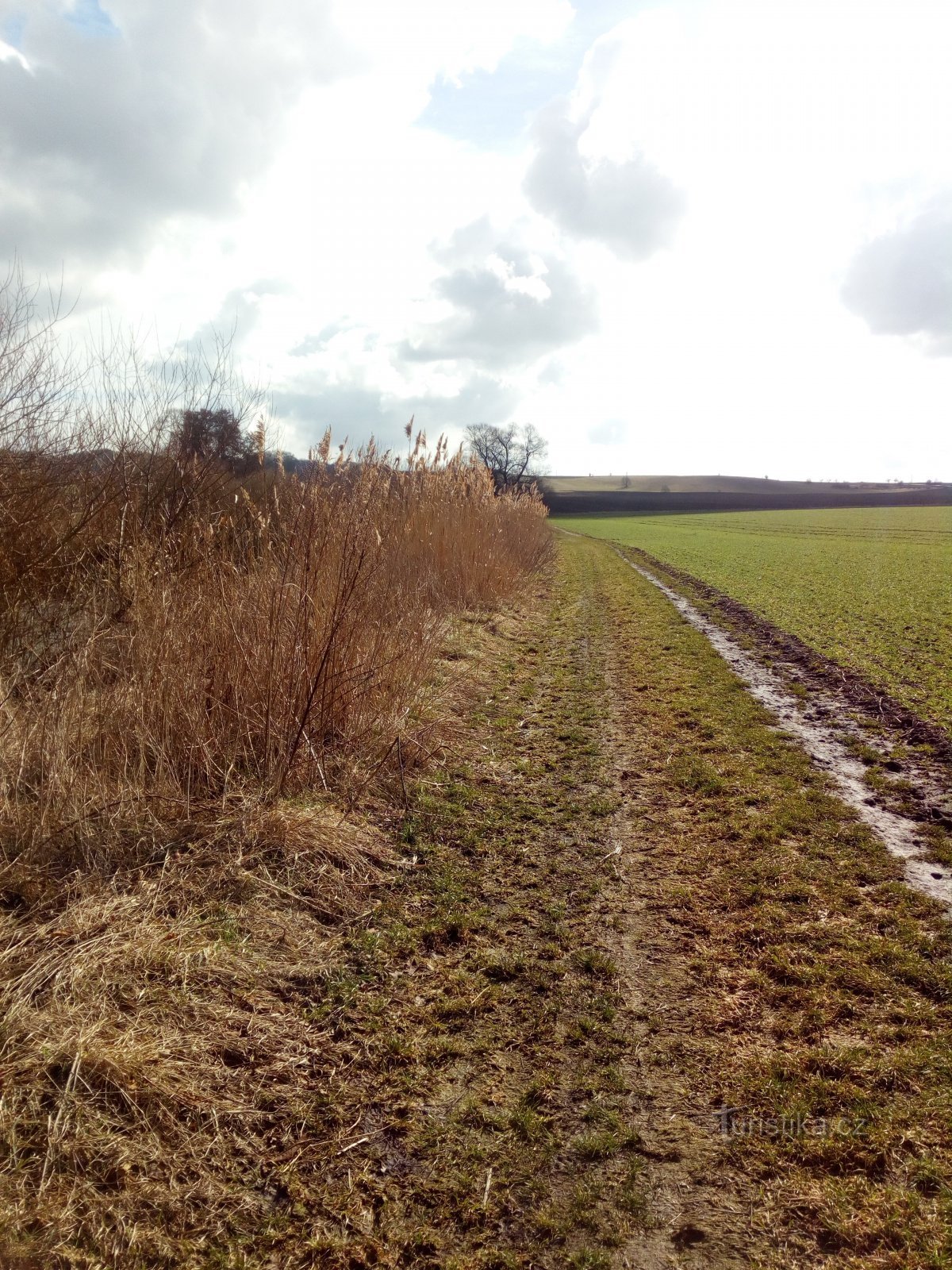 The road through the meadows to Valečov