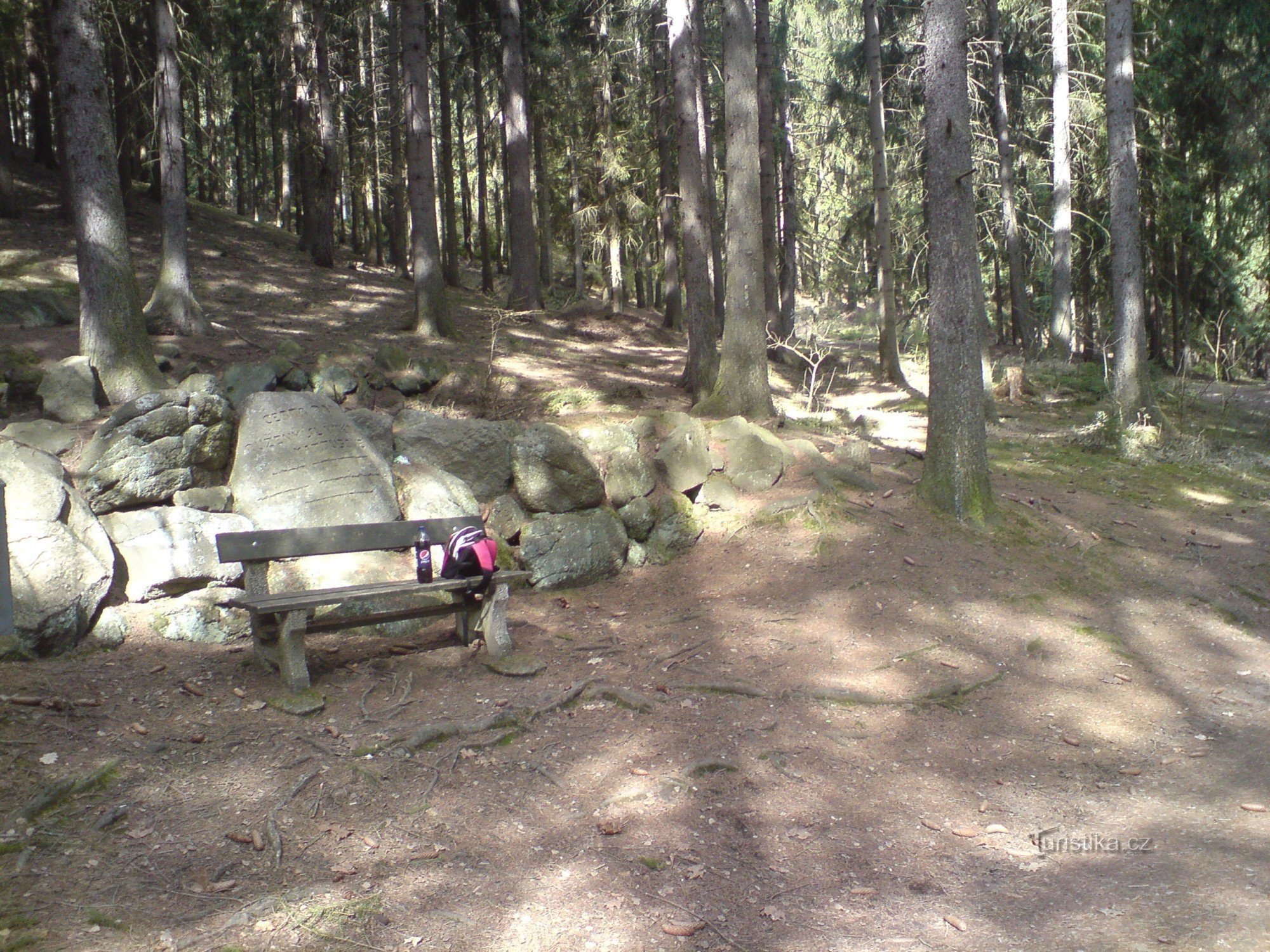 Le chemin de la rose