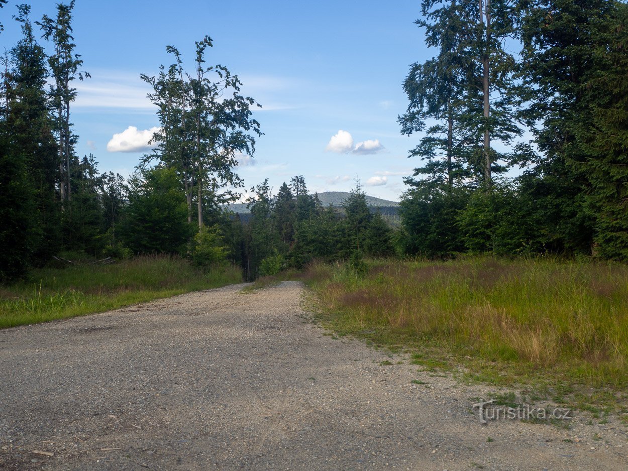 Straße mit grüner TZ und Skirunde