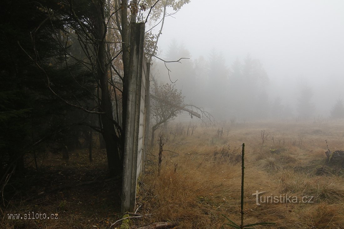 Stig genom Slavkovský-skogen - basvägg