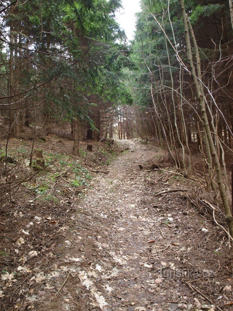 Road towards Vršava