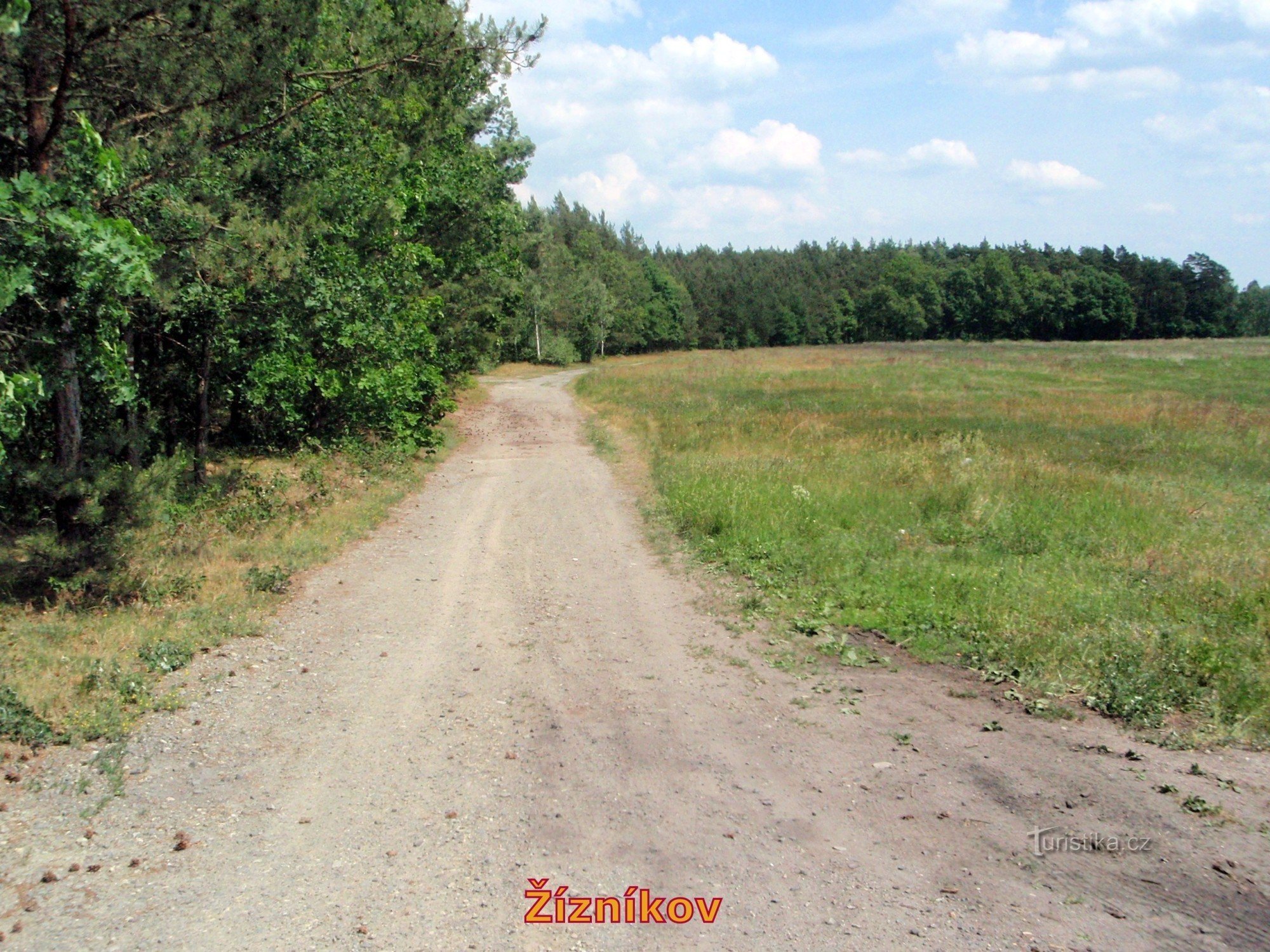 齐兹尼科夫附近的道路
