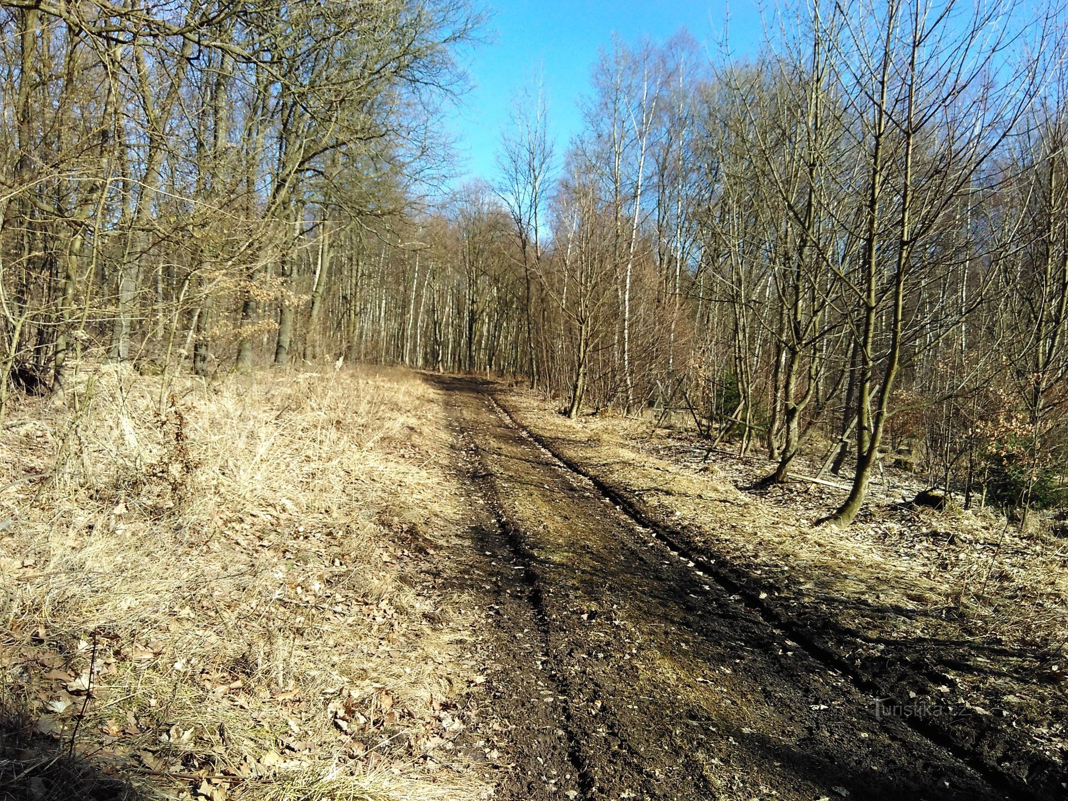 der Weg entlang der Hänge von Hradišťany