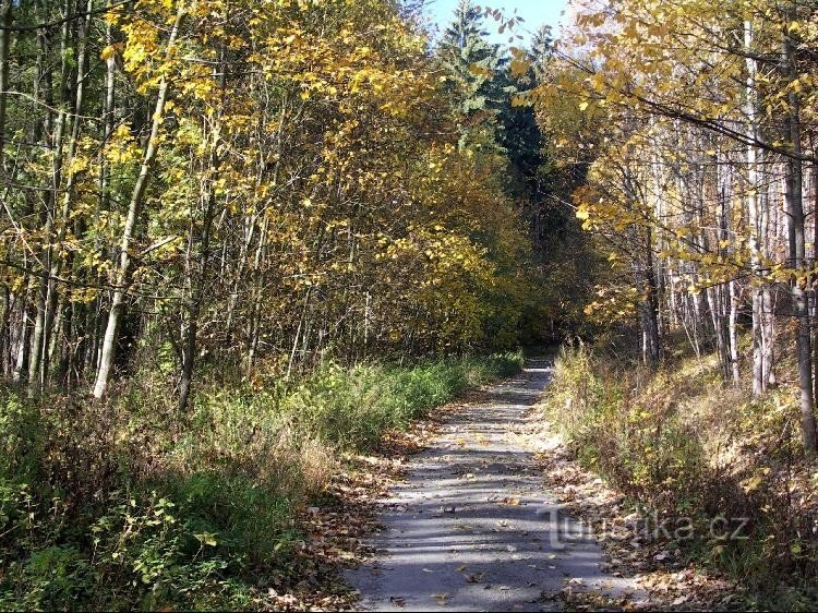 Chemin à travers la vallée de Hradské potok