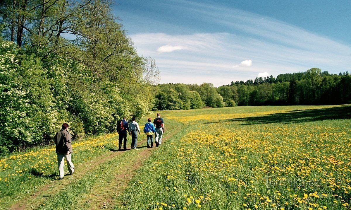 Fahrt durch das Krounka-Tal