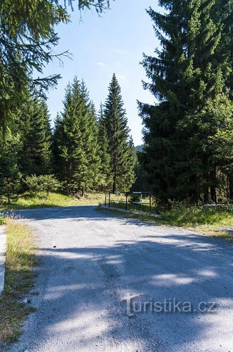 Un sentiero attraverso la valle del torrente Podolsky