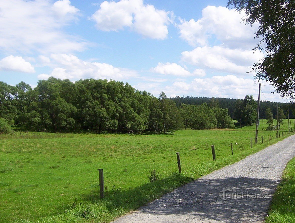 Der Weg durch das Tal des Flusses Bystřice von Dětřichov nach Ondrášov - Foto: Ulrych Mir.