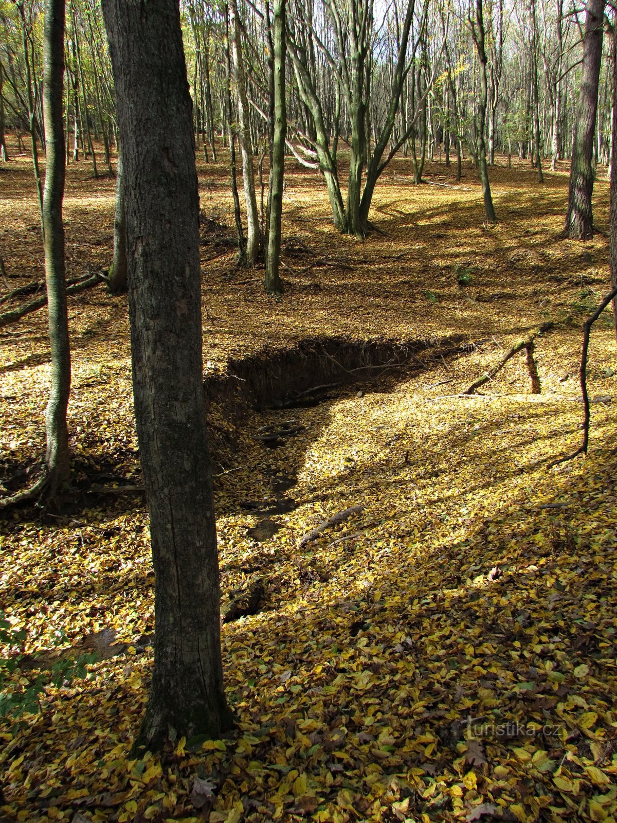 vägen skar genom dalen