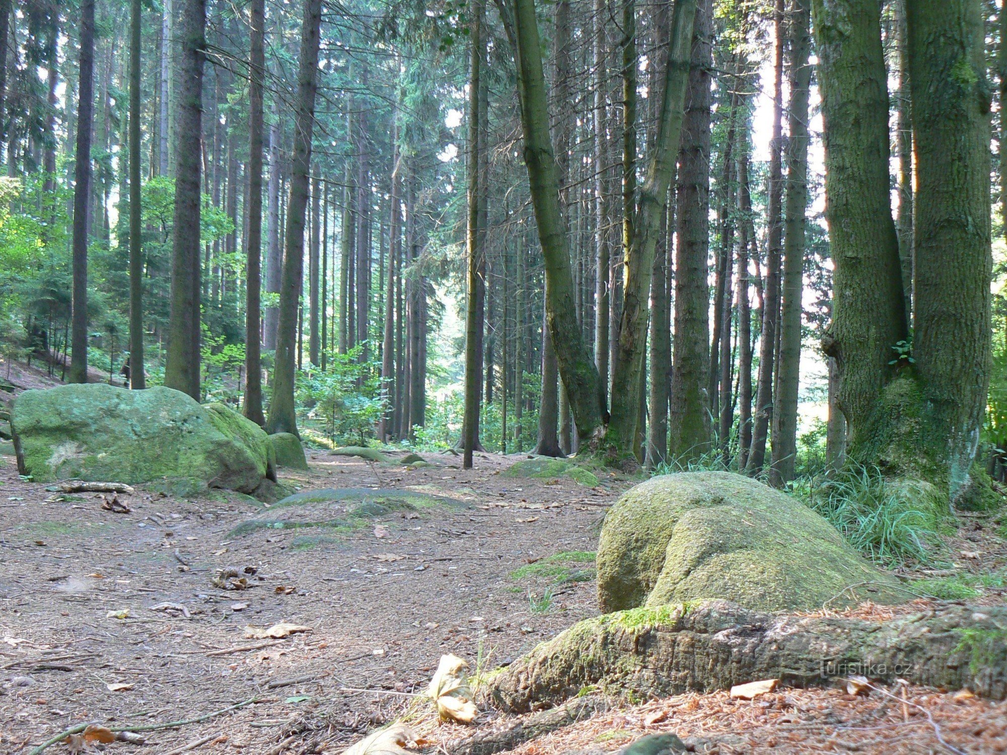 Un chemin à travers la vallée du ruisseau Žebrakov (le soi-disant Údolíčko)