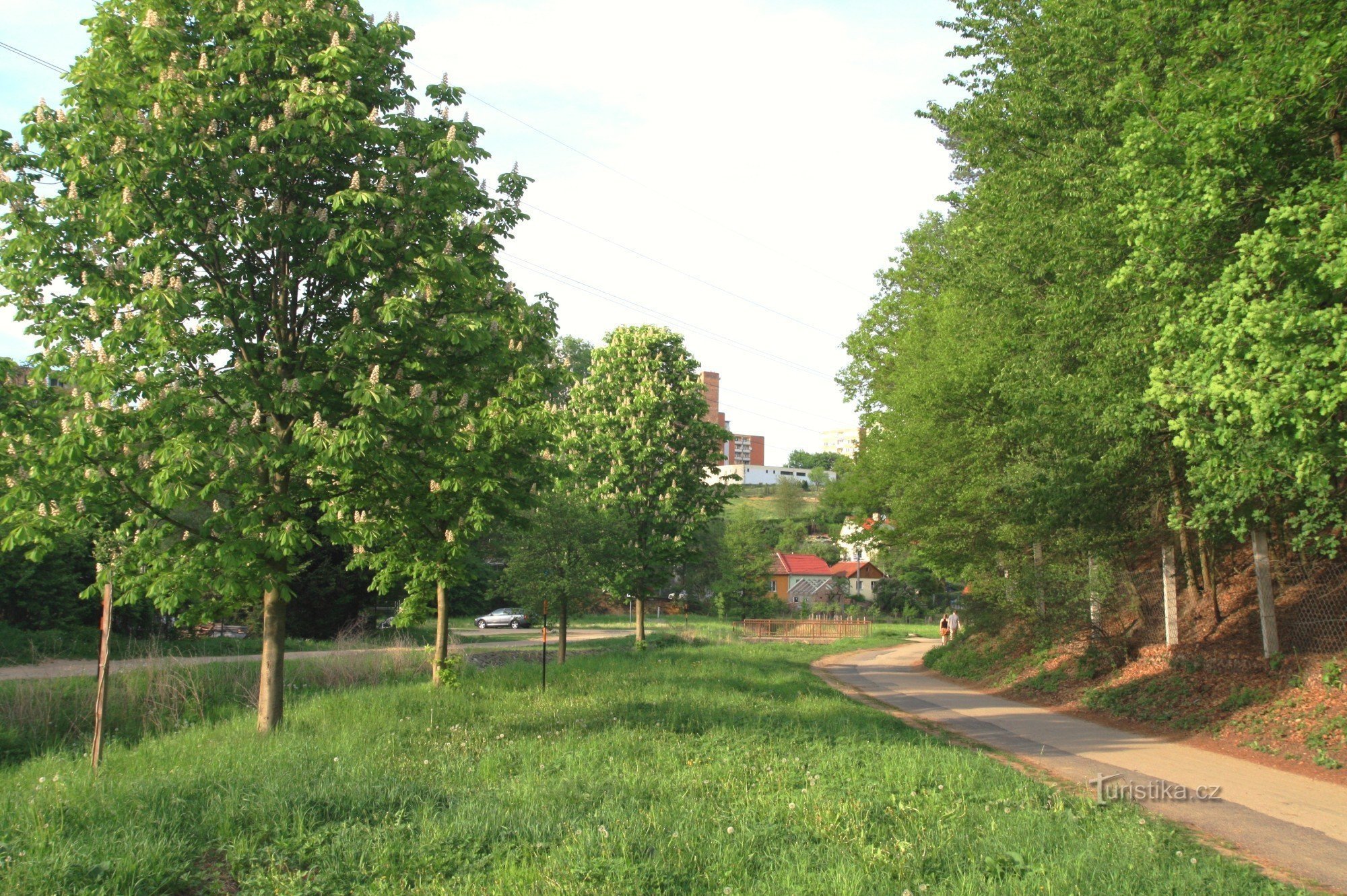 Die Straße im Rakovce-Tal