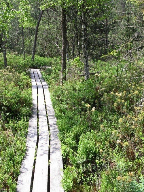 o caminho segue parcialmente por trilhas naturais, parcialmente por trilhas artificiais