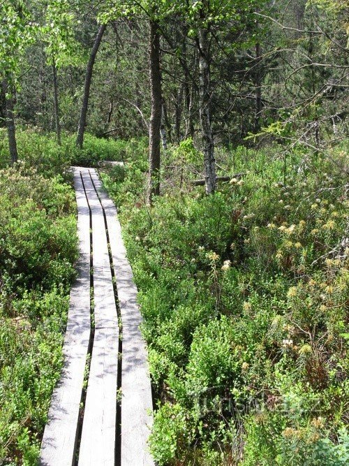 the path leads partly through natural footpaths, partly through man-made paths