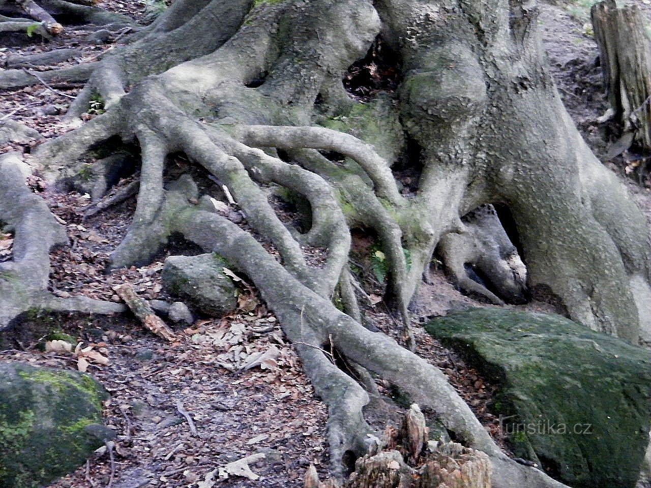 prehojena cesta