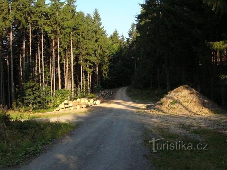 die Straße von Bystřička bis zur Kreuzung Nad Oznicí