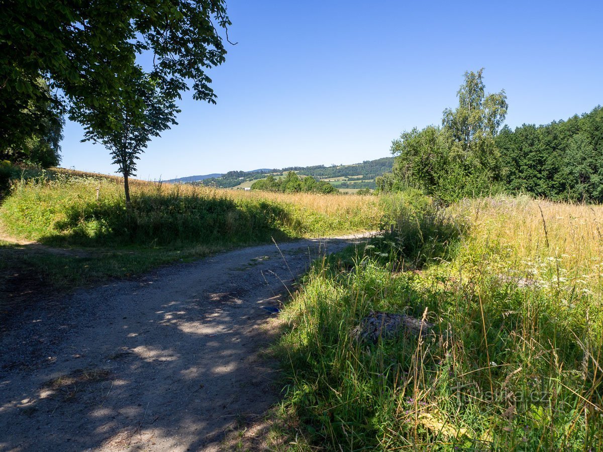 The road from Hartíkov